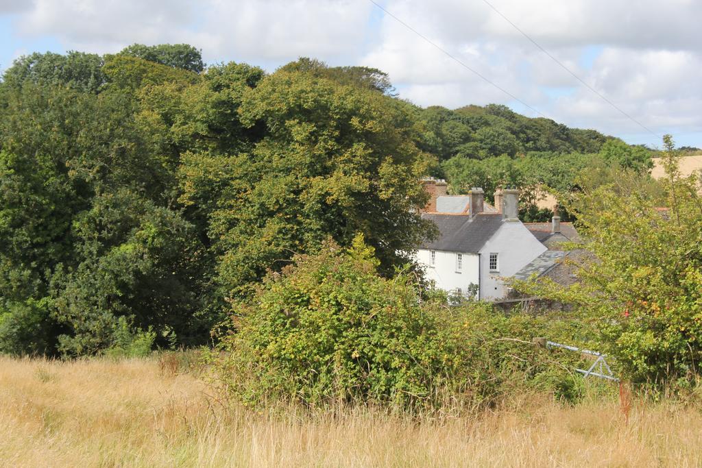 Costislost House Wadebridge Eksteriør billede